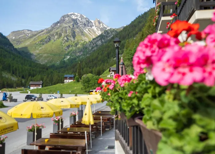 Hotel Cristal - Swiss Riders 3*