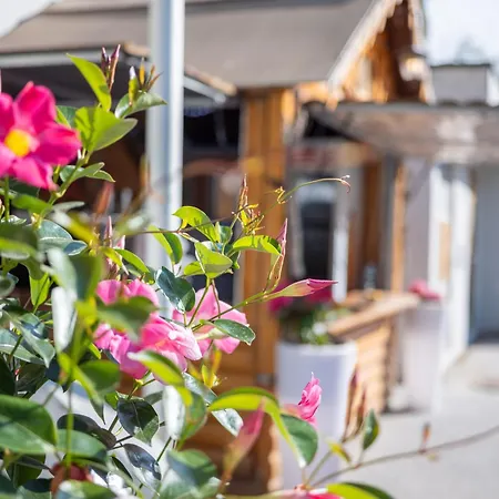 Cristal - Swiss Riders Hotel Grimentz